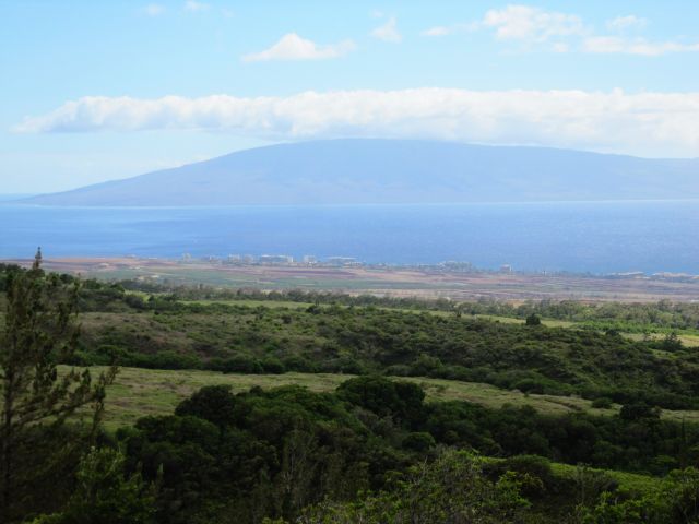 IMG 0575 copy